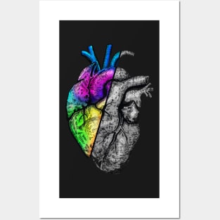 Heart in half colorful Posters and Art